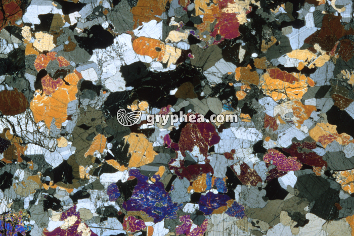 Gabbro rubané LPA x3,5 - gryphea.com